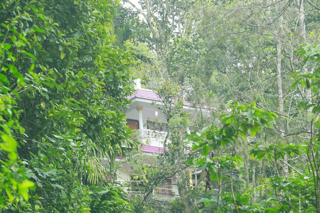 Mount Spring Valley Homestay Thekkady Luaran gambar