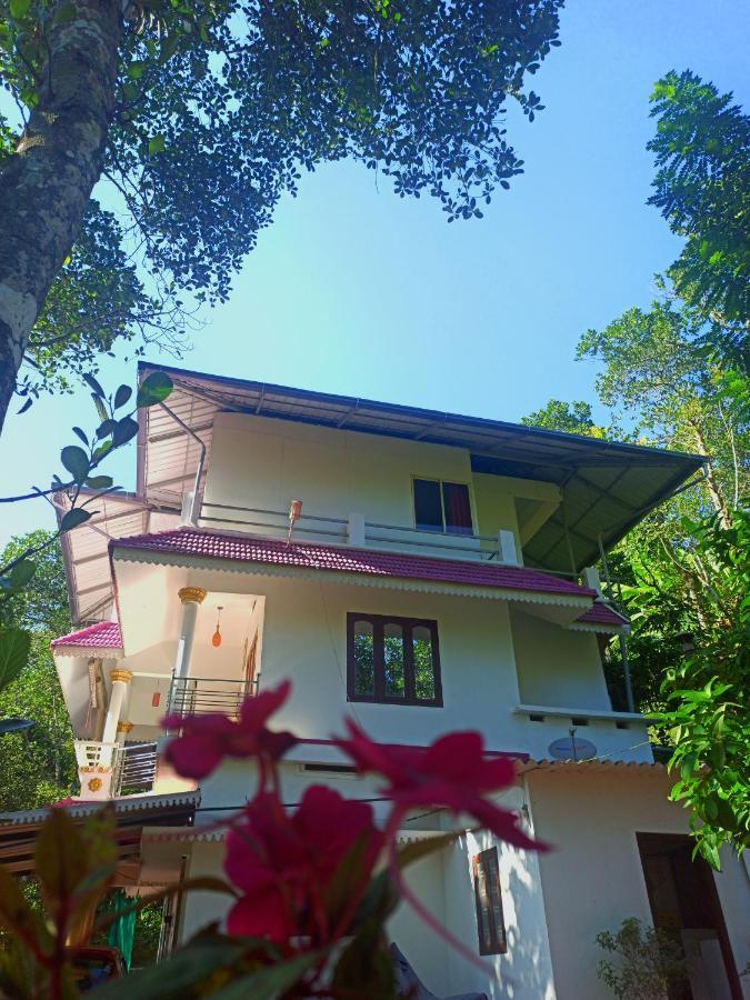 Mount Spring Valley Homestay Thekkady Luaran gambar